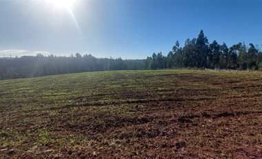 Sitio en Venta en TERRENO DE 5,2 HECTÁREAS EN VENTA – SECTOR MILLAPOA, NACIMIENTO