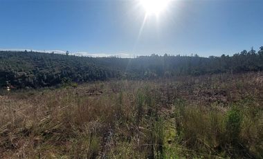 Sitio en Venta en TERRENO DE 5,2 HECTÁREAS EN VENTA – SECTOR MILLAPOA, NACIMIENTO
