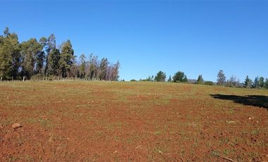 Sitio en Venta en TERRENO DE 5,2 HECTÁREAS EN VENTA – SECTOR MILLAPOA, NACIMIENTO