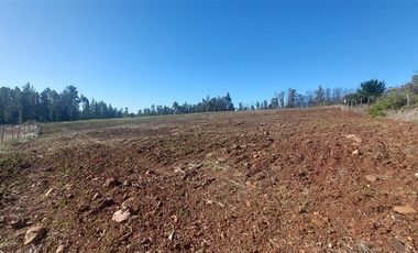 Sitio en Venta en TERRENO DE 5,2 HECTÁREAS EN VENTA – SECTOR MILLAPOA, NACIMIENTO