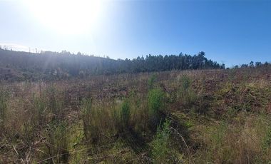 Sitio en Venta en TERRENO DE 5,2 HECTÁREAS EN VENTA – SECTOR MILLAPOA, NACIMIENTO