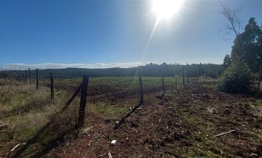 Sitio en Venta en TERRENO DE 5,2 HECTÁREAS EN VENTA – SECTOR MILLAPOA, NACIMIENTO