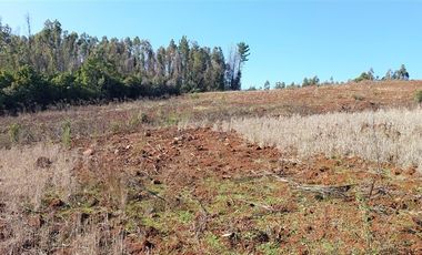 Terreno Construccion  en Venta en TERRENO DE 5,2 HECTÁREAS EN VENTA – SECTOR MILLAPOA, NACIMIENTO