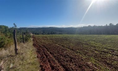 Terreno Construccion  en Venta en TERRENO DE 5,2 HECTÁREAS EN VENTA – SECTOR MILLAPOA, NACIMIENTO