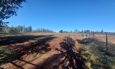 Terreno Construccion  en Venta en TERRENO DE 5,2 HECTÁREAS EN VENTA – SECTOR MILLAPOA, NACIMIENTO