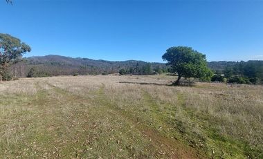 Terreno Construccion  en Venta en TERRENO DE 5,2 HECTÁREAS EN VENTA – SECTOR MILLAPOA, NACIMIENTO