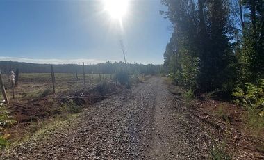 Terreno Construccion  en Venta en TERRENO DE 5,2 HECTÁREAS EN VENTA – SECTOR MILLAPOA, NACIMIENTO