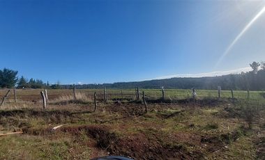 Terreno Construccion  en Venta en TERRENO DE 5,2 HECTÁREAS EN VENTA – SECTOR MILLAPOA, NACIMIENTO