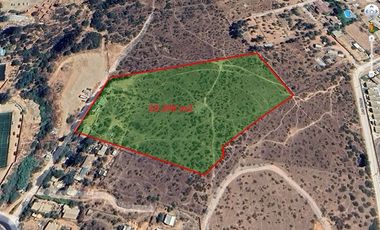 Agrícola en Venta en Terreno 2 Hás. en Venta – Peñablanca / Ideal Proyecto Inmobiliario