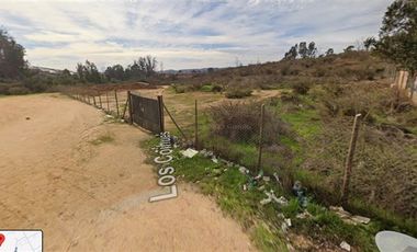 Agrícola en Venta en Terreno 2 Hás. en Venta – Peñablanca / Ideal Proyecto Inmobiliario