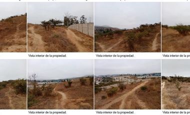 Agrícola en Venta en Terreno 2 Hás. en Venta – Peñablanca / Ideal Proyecto Inmobiliario