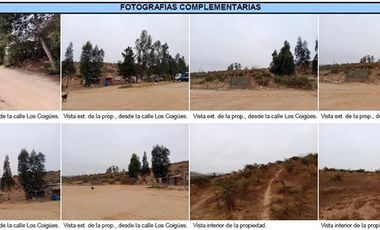 Agrícola en Venta en Terreno 2 Hás. en Venta – Peñablanca / Ideal Proyecto Inmobiliario
