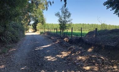 Sitio en Venta en Gran Oportunidad Se Vende Campo Agrícola 18 hec en el Sector el Retiro Talca
