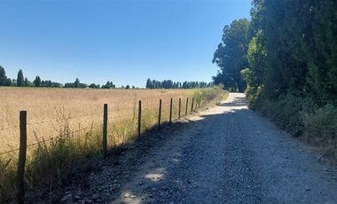 Sitio en Venta en Gran Oportunidad Se Vende Campo Agrícola 18 hec en el Sector el Retiro Talca