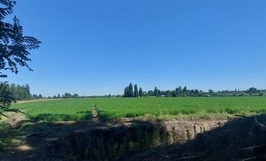 Sitio en Venta en Gran Oportunidad Se Vende Campo Agrícola 18 hec en el Sector el Retiro Talca