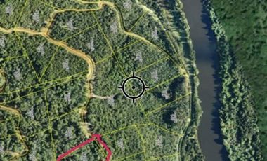 Parcela en Venta en Sector Faja Fiscal Cordillera Saraos, Río Llico