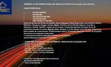 Agrícola en Venta en Venta de Terreno 50 Hectáreas – Quellón, Sector Molulco Natri, Chiloé