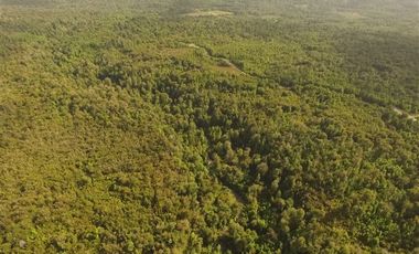 Agrícola en Venta en Venta de Terreno 50 Hectáreas – Quellón, Sector Molulco Natri, Chiloé