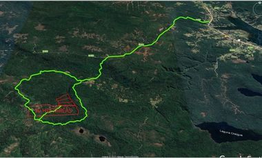 Parcela en Venta en Venta de Terreno 50 Hectáreas – Quellón, Sector Molulco Natri, Chiloé