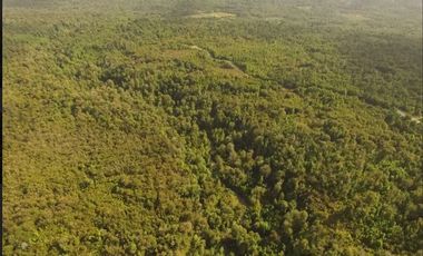 Parcela en Venta en Venta de Terreno 50 Hectáreas – Quellón, Sector Molulco Natri, Chiloé