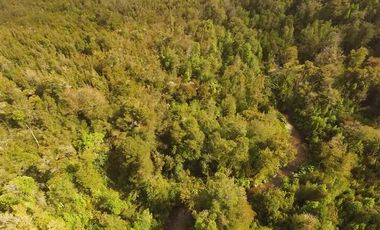 Parcela en Venta en Venta de Terreno 50 Hectáreas – Quellón, Sector Molulco Natri, Chiloé