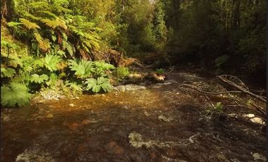 Parcela en Venta en Venta de Terreno 50 Hectáreas – Quellón, Sector Molulco Natri, Chiloé