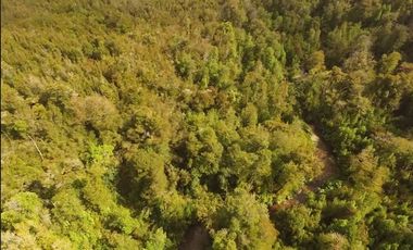 Parcela en Venta en Venta de Terreno 50 Hectáreas – Quellón, Sector Molulco Natri, Chiloé