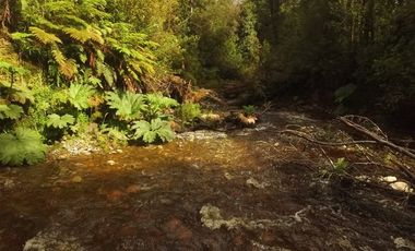 Terreno Construccion  en Venta en Venta de Terreno 50 Hectáreas – Quellón, Sector Molulco Natri, Chiloé