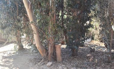 Se vende Terreno amplio Quilpue sector Los Pinos