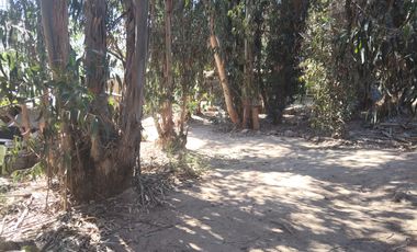 Se vende Terreno amplio Quilpue sector Los Pinos