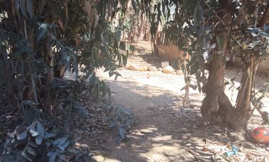 Se vende Terreno amplio Quilpue sector Los Pinos