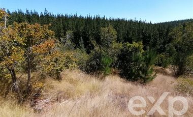 Sitio en Venta en Vende L31 Alto Colorado.