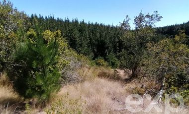 Sitio en Venta en Vende L31 Alto Colorado.