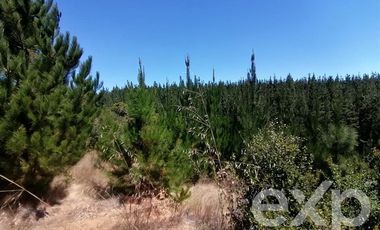 Sitio en Venta en Vende L31 Alto Colorado.