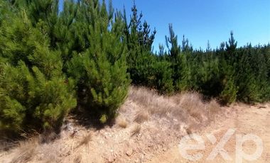 Sitio en Venta en Vende L31 Alto Colorado.