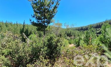 Agrícola en Venta en Vende L31 Alto Colorado.