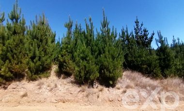 Parcela en Venta en Vende L31 Alto Colorado.