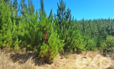 Parcela en Venta en Vende L31 Alto Colorado.