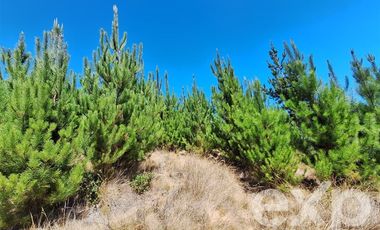 Parcela en Venta en Vende L31 Alto Colorado.