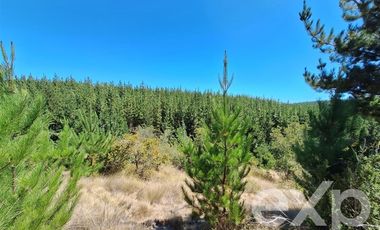 Terreno Construccion en Venta en Vende L31 Alto Colorado.