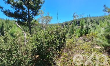 Terreno Construccion en Venta en Vende L31 Alto Colorado.