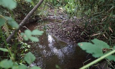 Parcela en Venta en villarrica