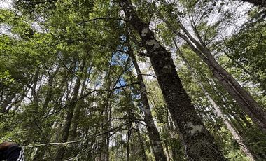 Parcela en Venta en villarrica