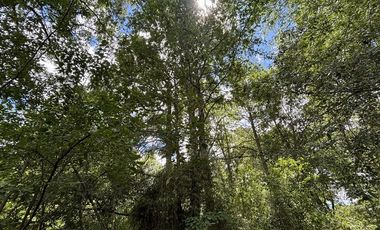 Parcela en Venta en villarrica