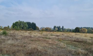 VENTA PARCELA 5000MTS Yungay