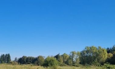 VENTA PARCELA 5000MTS Yungay