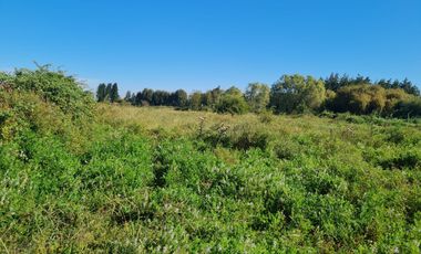 VENTA PARCELA 5000MTS Yungay