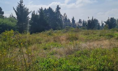 VENTA PARCELA 5000MTS Yungay