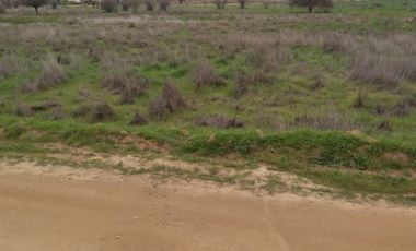 VENTA PARCELA 5040MTS Marchigue