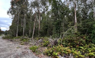 PARCELA CON BOSQUE EN DALCAHUE, A 20 MIN DEL AEROPUERTO